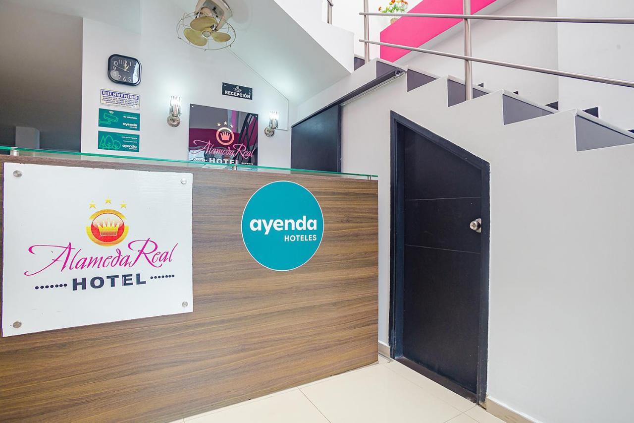 Ayenda Alameda Real Hotel Monteria Exterior photo